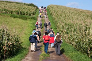 Unterwegs in der Gruppe